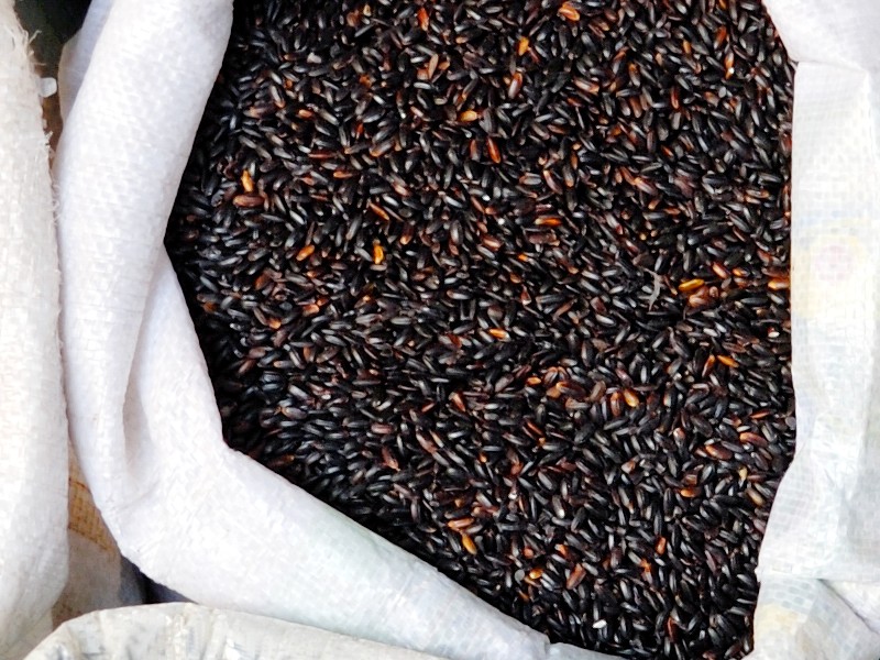 Innovation in the Cereal Industry: The Winning Strategies of Pineta srl