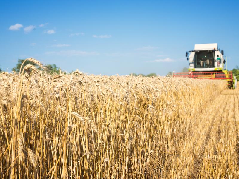 Cereal Supply Chain: From Farmer to Consumer