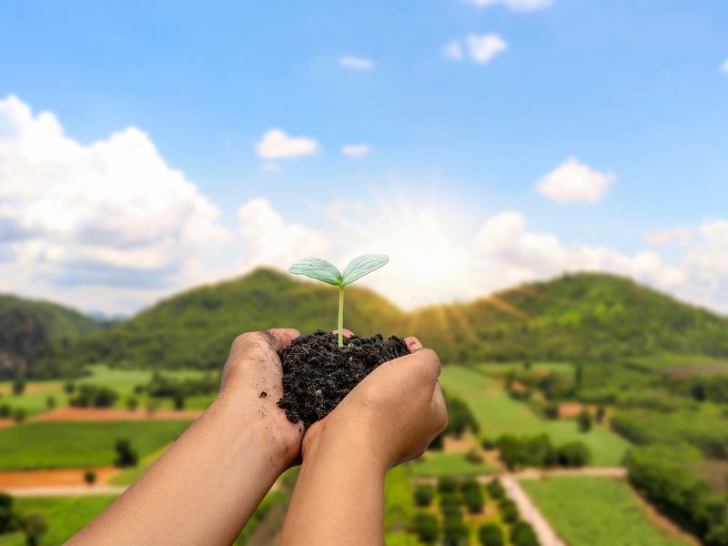 Pineta Srl: A 50-Year Passion for Grains