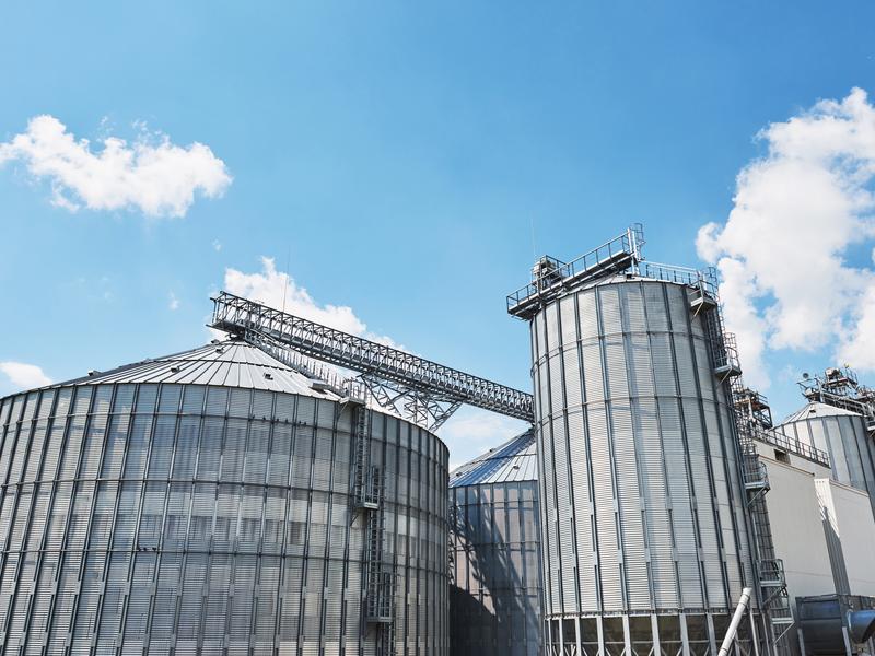 Stoccaggio cereali: tecniche moderne per preservare la qualità